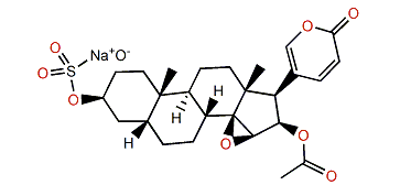 Cinobufagin 3-sulfate